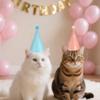 CHarmeFleur 6-Pack Birthday Hats for Dogs and Cats view 3
