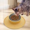Non-Slip Silicone and Stainless Steel No-Tip Pet Bowl view 3