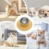 Non-Slip Silicone and Stainless Steel No-Tip Pet Bowl view 4