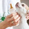 WJnflQN Portable Puppy Nipple Feeding Station view 2