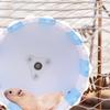 KOMBIUDA Quiet Activity Wheel for Small Pets view 4