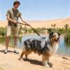 Adjustable Breathable Dog Backpack view 3