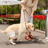 Dog Pooper Scooper with Waste-Bag Lanyard for Outdoor Use view 3