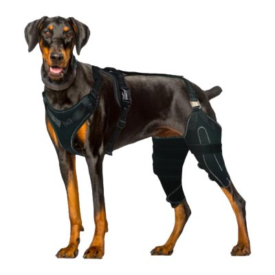 Dog Hip Brace with Metal Stabilizers and Wrap Strap