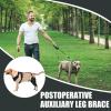 Dog Hip Brace with Metal Stabilizers and Wrap Strap view 2