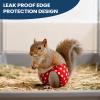 Squirrel Diapers - 10 cm Soft Pet Diaper Set view 2