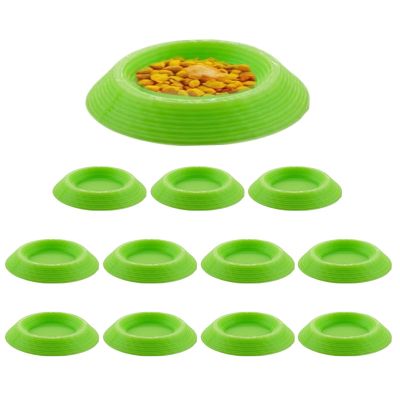 Terrarium Feeding Dish Set for Springtails and Isopods