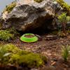 Terrarium Feeding Dish Set for Springtails and Isopods view 3
