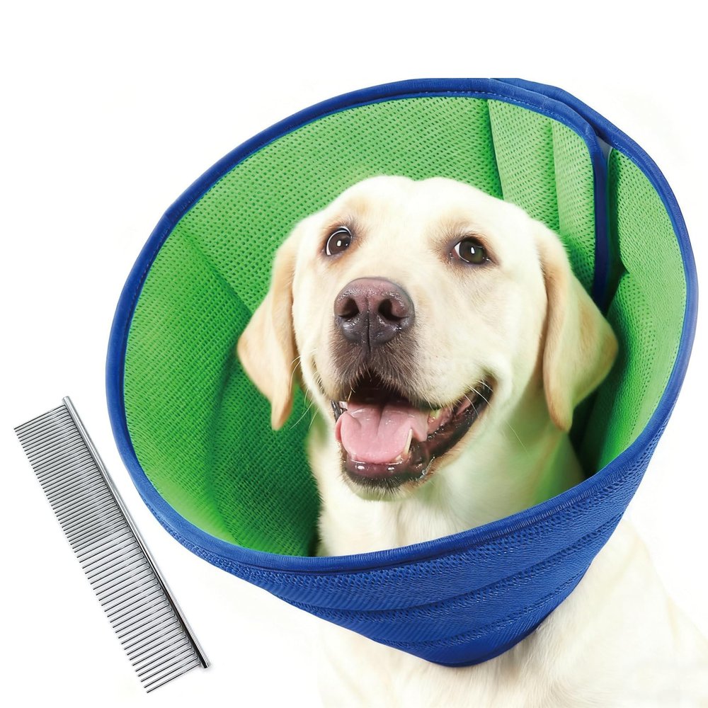 Dog Recovery Collar, 38-44 cm