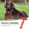 Ciieeo Pet Comb for Dogs and Cats view 4
