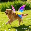 Light-Up Fairy Wings for Dogs with Moving Butterfly Wings, LED Lights & Music, Christmas Costume (Warm) view 2