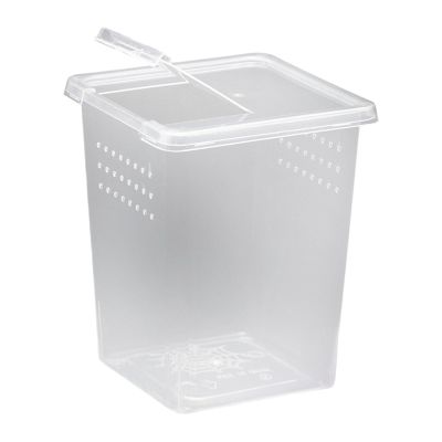 JISADER Small Transparent Terrarium for Reptiles