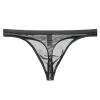Men's Gay Sheer Bulge-Enhancing Pouch Briefs, Stretch Trunks view 1