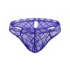 Men's Sheer Mesh Briefs, Breathable Soft Thong/Boxer Briefs view 1