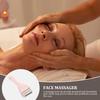 Professional Stainless Steel and PP Facial Ice Roller view 3