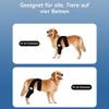 Yagerod 2026 New Dog Hip Support Harness, Joint-Stabilizing Thigh Brace with 10 Support Stays, Strong Support, Size L view 4
