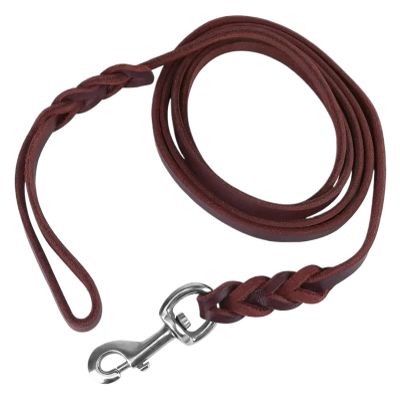 Genuine Leather Braided Dog Leash, 160 cm, Brown/Black
