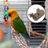 GARVALON Parrot Swing view 4