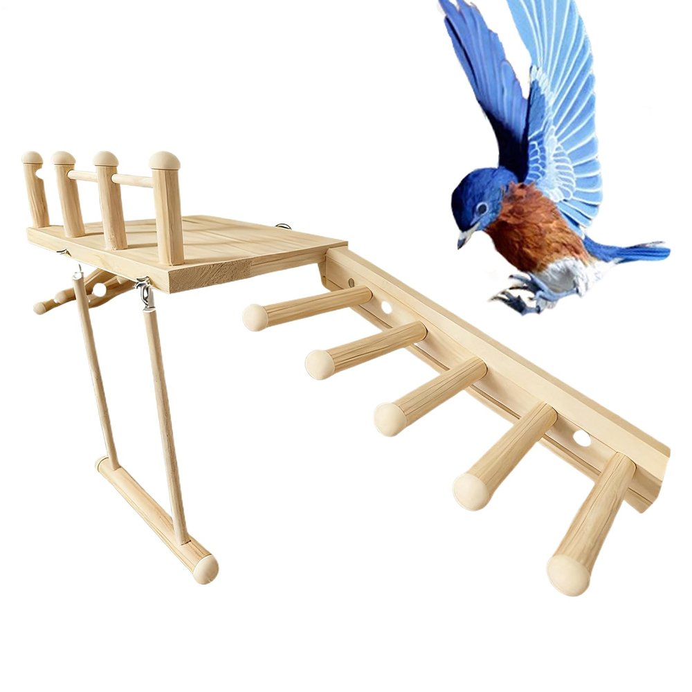 Bird Perch Ramp Swing and Climbing Toy