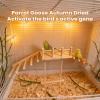 Bird Perch Ramp Swing and Climbing Toy view 4