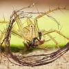 Alasum Artificial Reptile Vine view 3