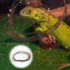 Alasum Artificial Reptile Vine view 4