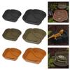 KieTeiiK Multi-Level Bathing Pool for Turtles and Amphibians view 2