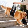 KAQNTUD Dog Support Belt, Foldable Design, Adjustable Strap for Small to Large Dogs view 2