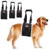 KAQNTUD Dog Support Belt, Foldable Design, Adjustable Strap for Small to Large Dogs view 4