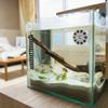 Aquarium Thermometer 10 Pack view 3