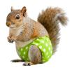 Rabbit Diapers and Small Pet Clothing for Rabbits and Squirrels view 1