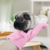 Anti-Bite Gloves 24 cm PET Interactive Gloves view 2