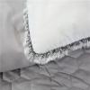 GZKDKZB 4-Piece Beauty Bed Cover Set with Tassel Embroidery, Gray, 80 x 1 view 2