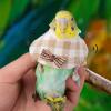 Parrot Collar Anti-Bite Bird Neck Collar, 3.94 in, Canvas Chew-Resistant Collar for Budgies, Canaries and Other Birds view 2