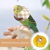 Parrot Collar Anti-Bite Bird Neck Collar, 3.94 in, Canvas Chew-Resistant Collar for Budgies, Canaries and Other Birds view 3