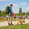 Hands-Free Dog Poop Grabber view 2