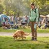 Hands-Free Dog Poop Grabber view 3