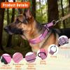Ledeak Martingale Dog Collar view 2
