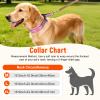 Ledeak Martingale Dog Collar view 4