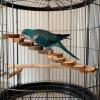 Bird Ladder Climbing Toy view 2