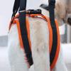 Acunny Dog Lift Harness with Adjustable Straps and Rear-Leg Support Sling view 3