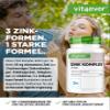vit4ever Zinc Complex 25 mg High-Dose - 400 Tablets - 3 Forms of Zinc view 2
