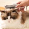 Dog Shower Brush with Soap Dispenser view 3