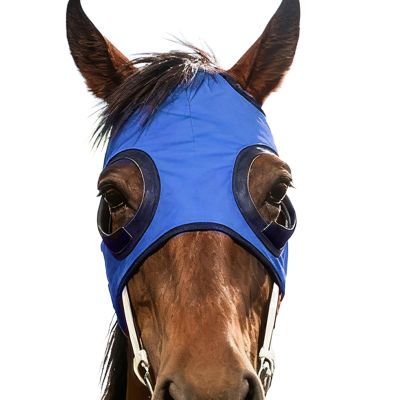 Eye Protection Hood with Sand-Resistant Mesh Shield