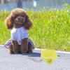 IMIKEYA Portable Dog Water Bowl Attachment view 3
