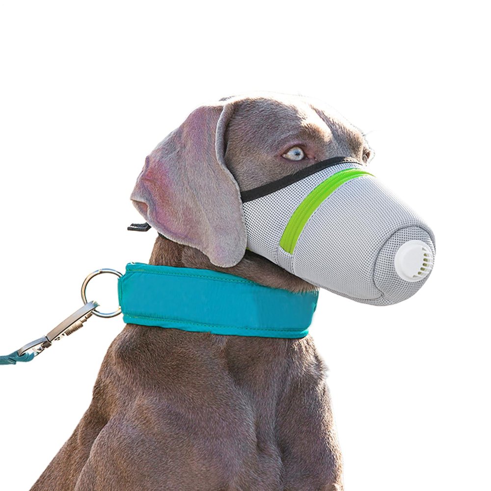 Muzzle for Small Dogs | Adjustable and Breathable Muzzle