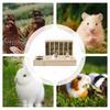 Wooden Automatic Feeder for Rabbits and Small Animals view 4