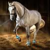 Horse Protection | Reflective and Adjustable Ankle Bands view 3