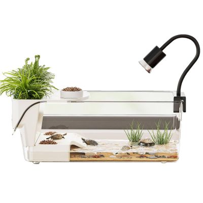 Large Turtle Terrarium with Basking Platform