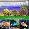 Generic Aquarium Plant Holder, Volcanic Stone Oval Ring Decor view 2